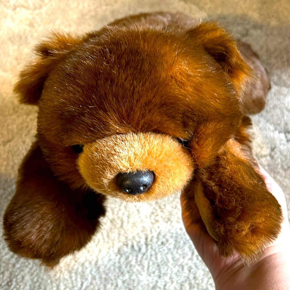 Ty 1996 Beanie Baby Paws the brown Bear. Retired. 18 inches. #5024